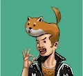 Man And Hairstyle Shiba Dog - old