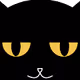 COOL BLACK CAT - old