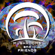 Mushrooms And Friends