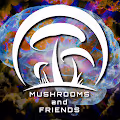 Mushrooms And Friends
