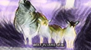 WOLVES AROUND THE WORLD - old V2