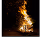 The Burn Bin