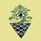Woke Bonsai's