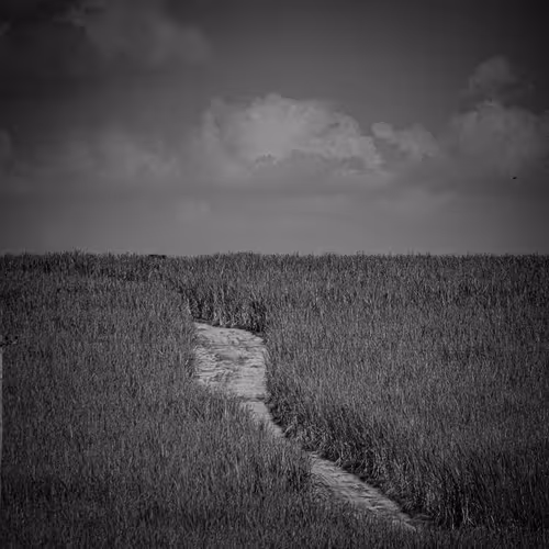 Streets of Brazil - Editions