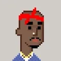 PunkRewards