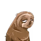 slothology