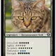 Battle Cats Trading Cards
