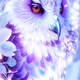 The White Paradise Owl World