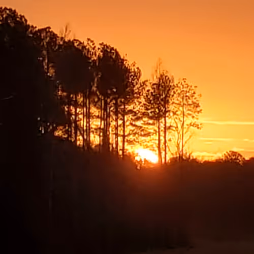 The Artists Creation