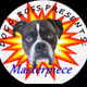 Dogg Ross Presents: Masterpiece Collection
