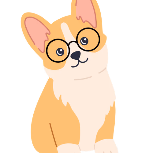 doggiie collection