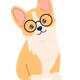 doggiie collection