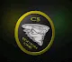 Category Five Coin