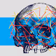 Antivinegar Skulls - old