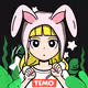 Parallel World TEMO