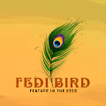 Fedi Bird (Feather in the Eyes)