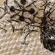 ilk in the ink and pen - napkin art