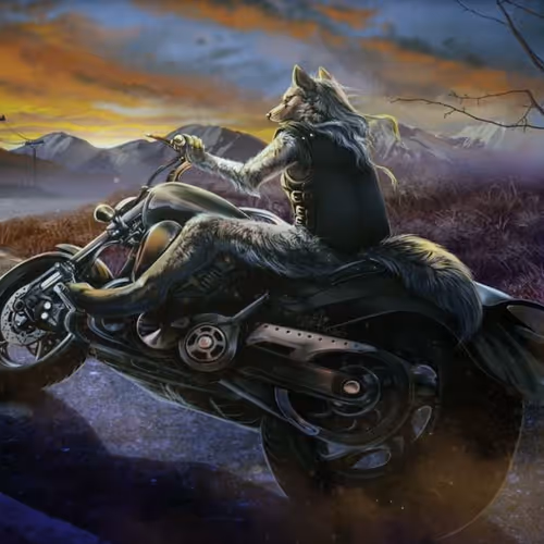 lonly wolf biker