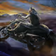 lonly wolf biker