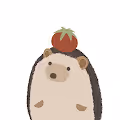 Rolly Farm : Hedgehog