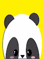 Peek-a-Boo_Panda