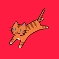 Jumping kitty!