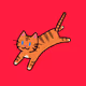 Jumping kitty!