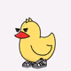 DUCK PATO