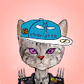 Sports Kitties