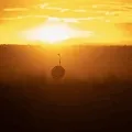 The African Wilderness