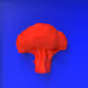 BroccoliCollection