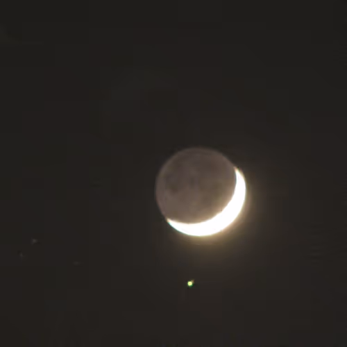 NIS (Nature Is Speaking)