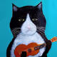 GuitarKitten draws