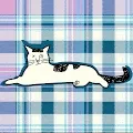 Plawal  vs tartan