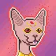 Celestial Cats Club