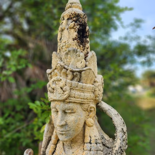 King of Bees Collection