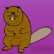 Bad Beaver Co