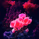 Nature and Neon - old