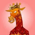 The Mad Giraffe Gang Collection