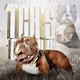 TCK Dog Collection