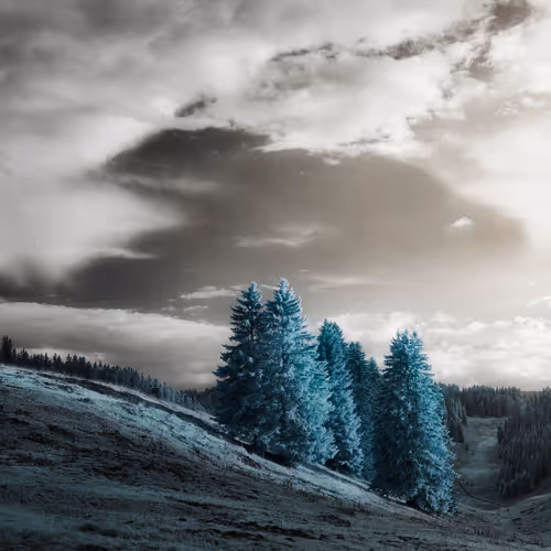 1R 7R335- Another Light