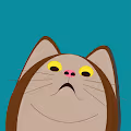 Shocked cat.