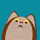 Shocked cat.