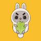 PET CHUNK