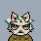 HypeCatz