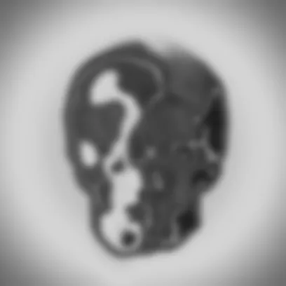 This collection is transfered to New collection.