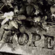Lost and Hopeful Soul