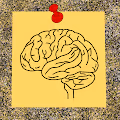 Mental Notes
