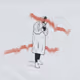 The Figure (1/1)
