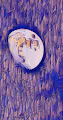Moonlight Art collection
